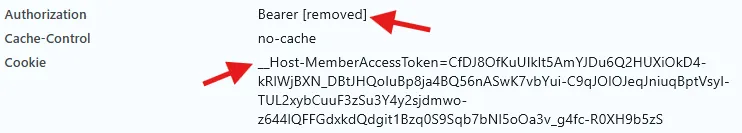A fetch request with the redacted access token and the encrypted access token cookie